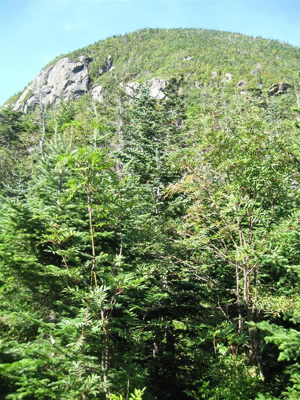 Wildcat A - 1050' in 0.7 miles