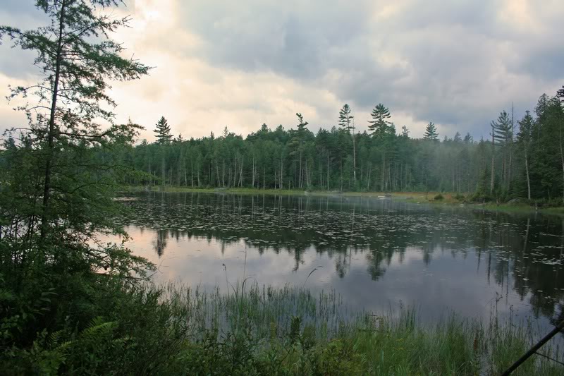 03-EARLY MORNING MIST