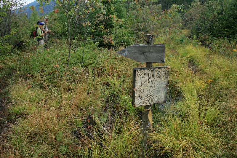 06-THAT WAY THRU THE MARSH