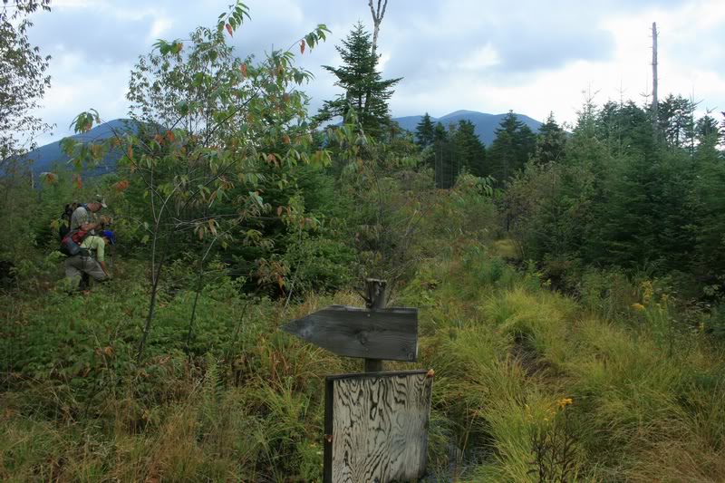 07-OUR GOAL IN THE DISTANCE