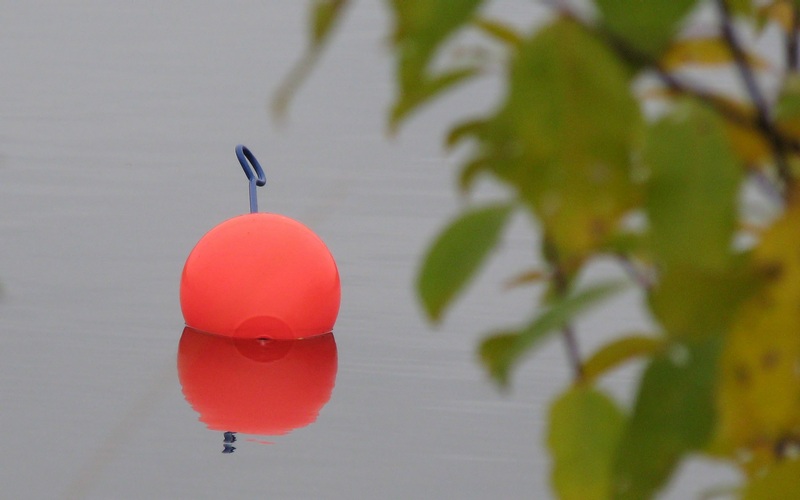 Added autumn coulours