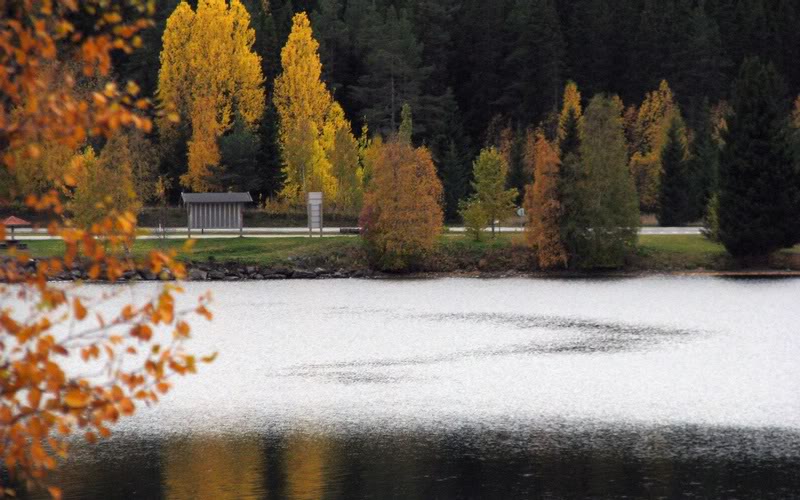 Krokom Bay Stream formation