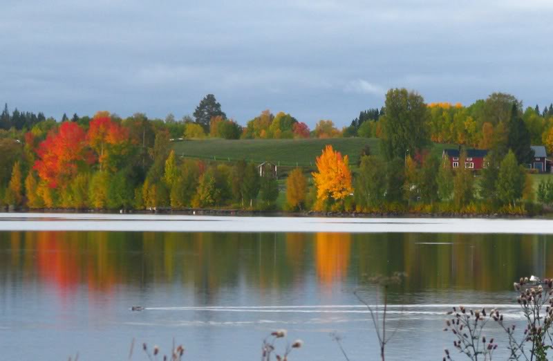 September lakeside view