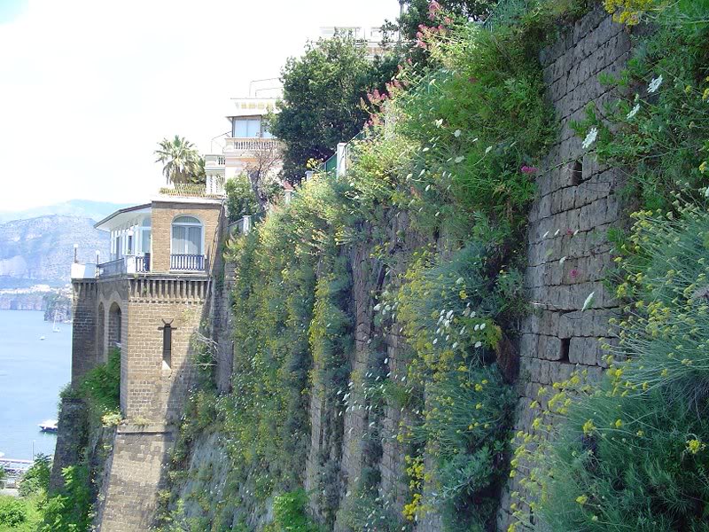 Sorrento (17)