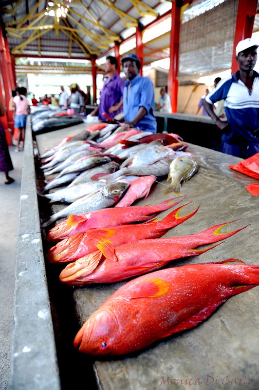 the fish market