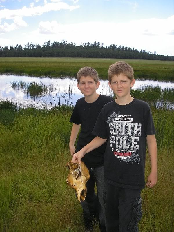 Jonathan & Nathaniel