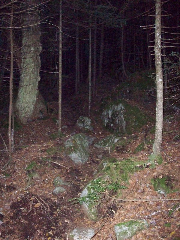 Flash makes it look darker than it was -- kind of cool!