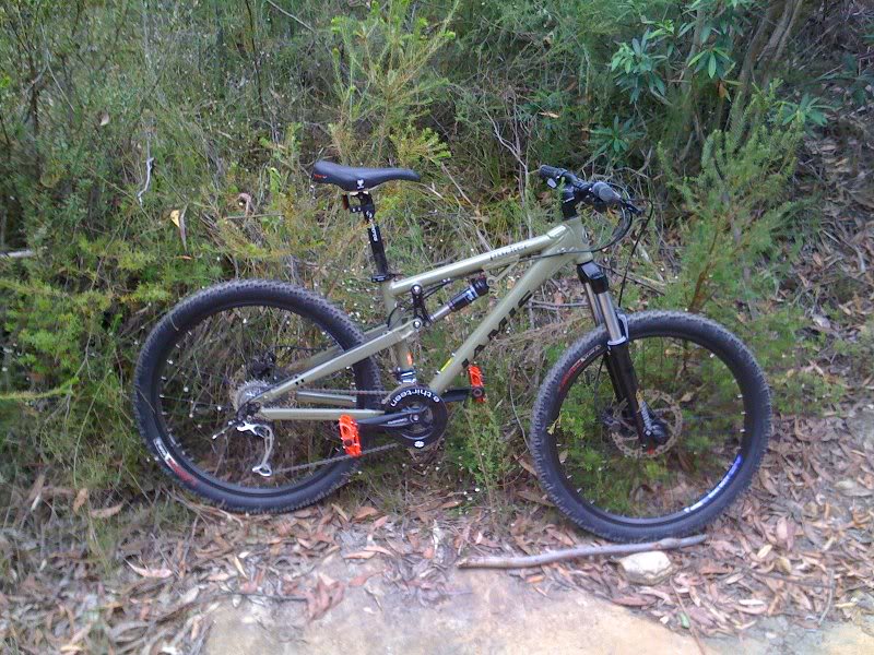 bike in bush 001
