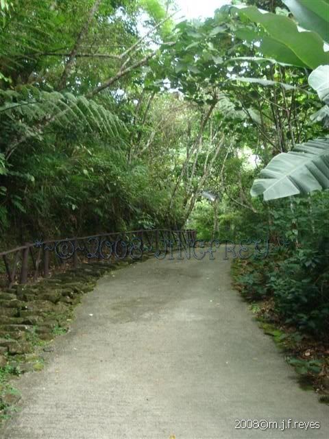2008-0906 174 (Small)