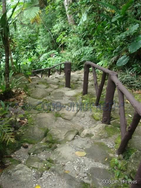 2008-0906 175 (Small)