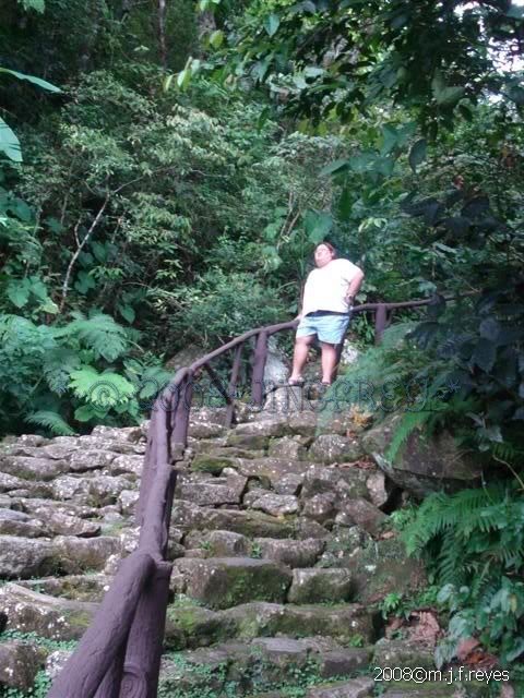 2008-0906 176 (Small)