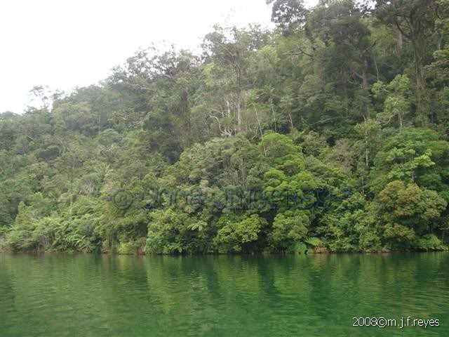 2008-0906 190 (Small)