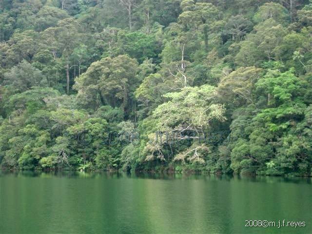 2008-0906 192 (Small)