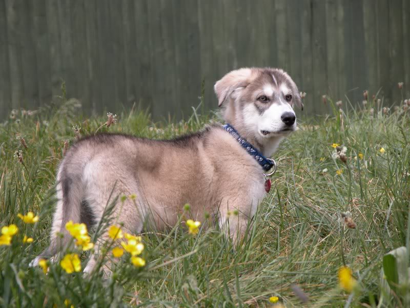 0092 Zeus 26.04.2007