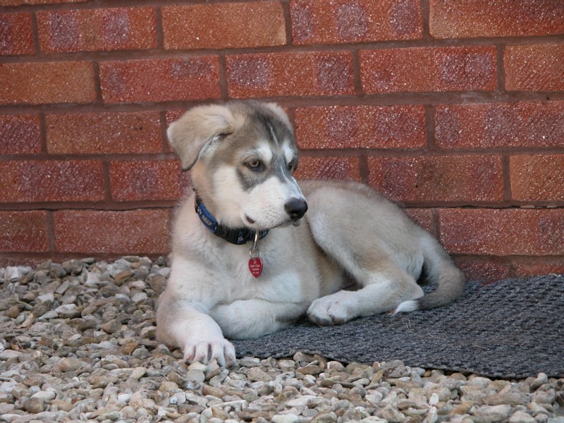 0126 Zeus 01.05.2007