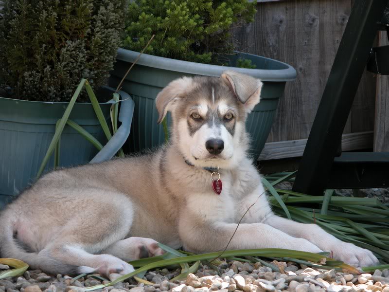 0179 Zeus 01.05.2007