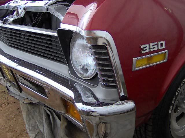 trim and bumpers new