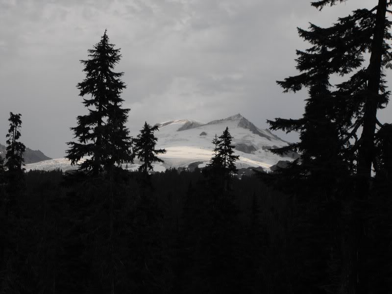 easton from down low