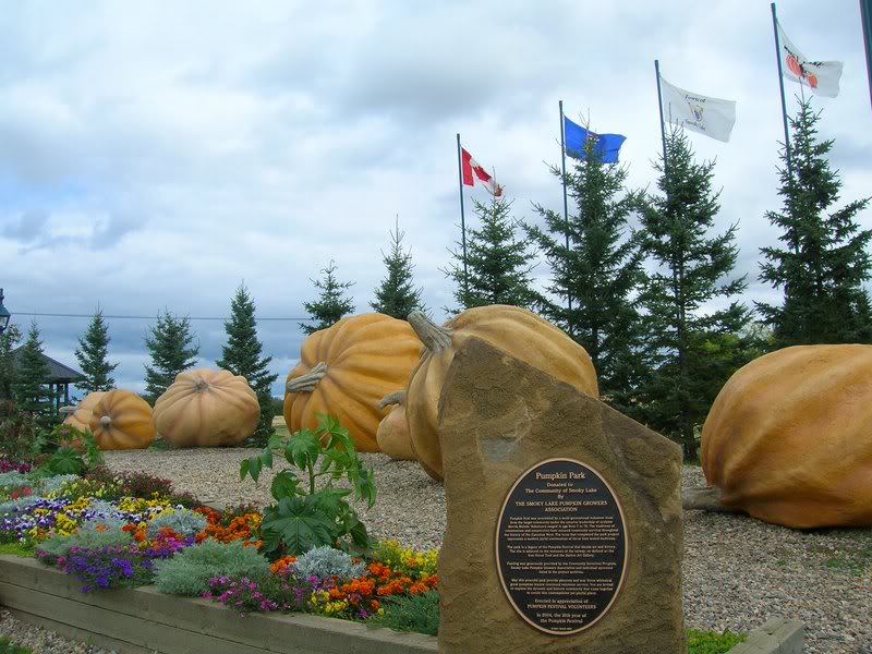 Pumpkin Park