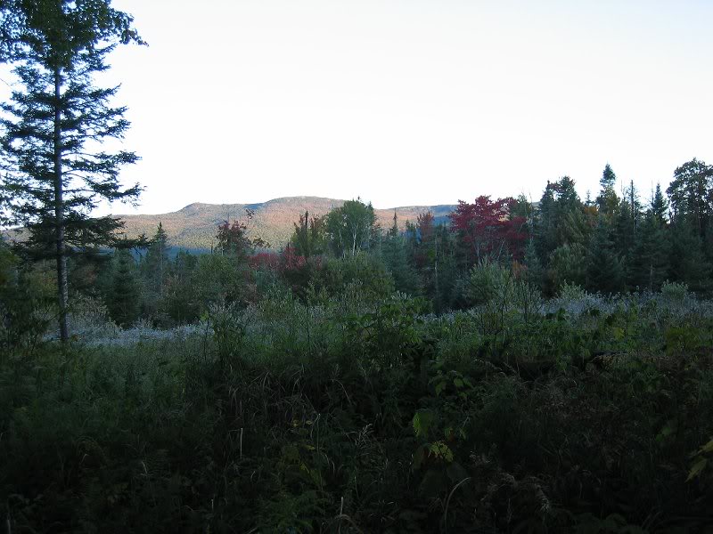 Frosted field along Mt. Clinton Rd.