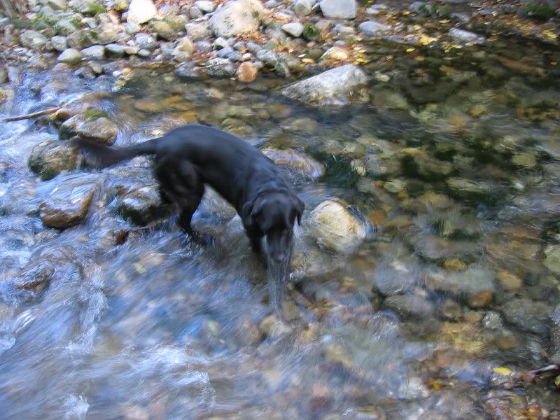 Maggie in her element