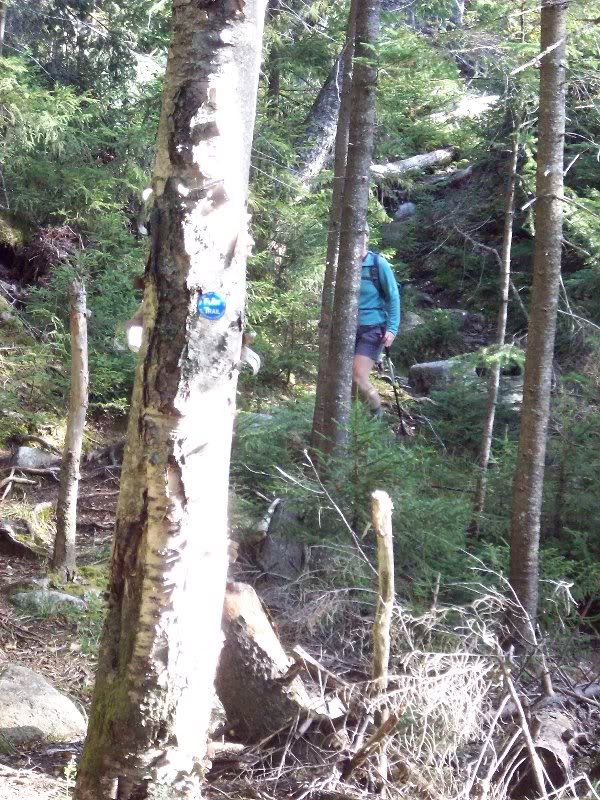 Heading into Elk Pass