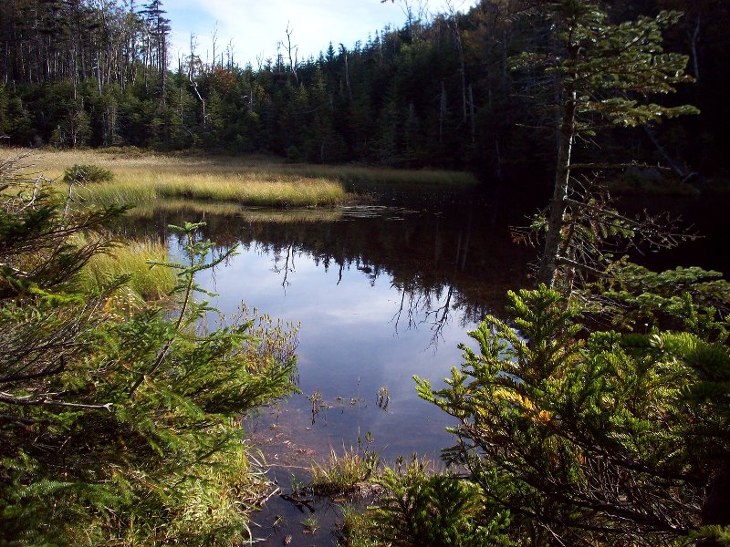 Pond 1 in Elk Pass