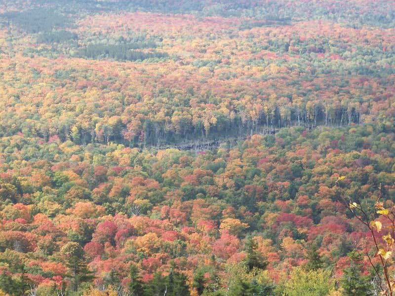 Beaver pond at base of Mt. Van Hoevenberg