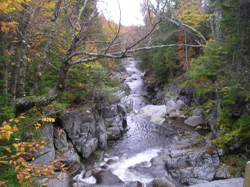John's Brook