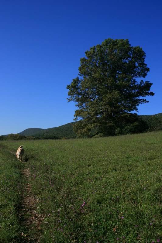 Schunemunk Mt 10072008