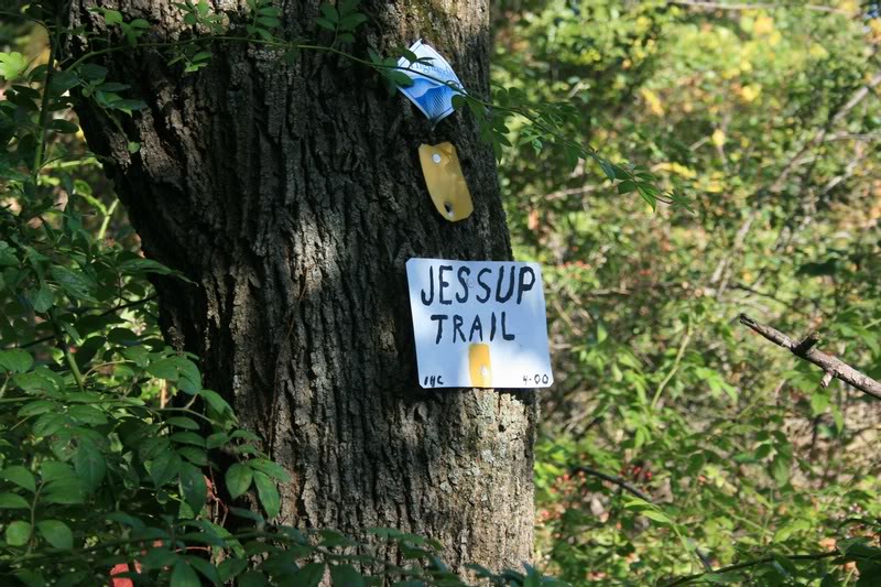 03-FOLLOW THE YELLOW