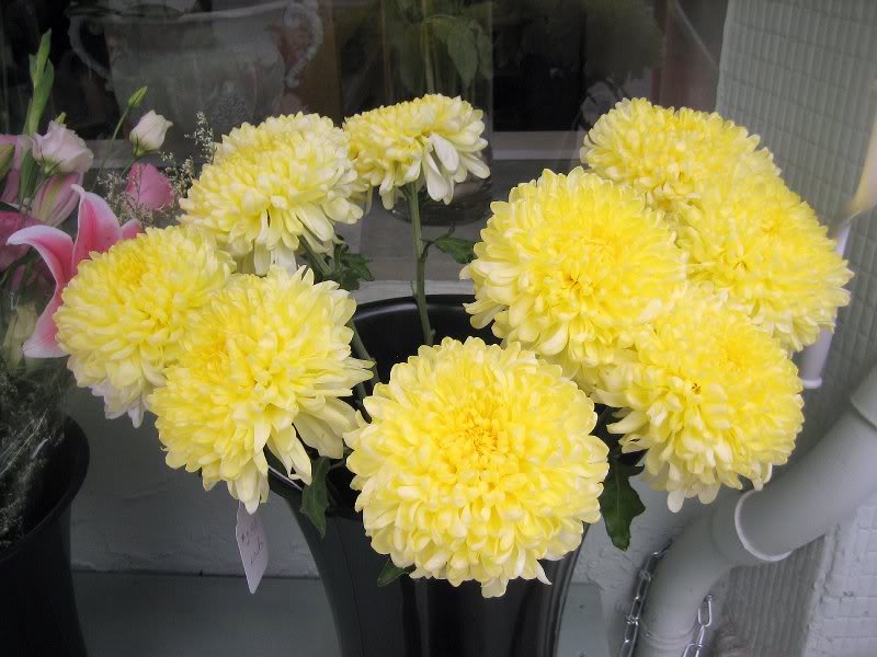 Sidewalk display at the florist shop
