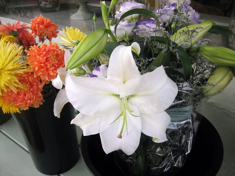 Sidewalk display at the florist