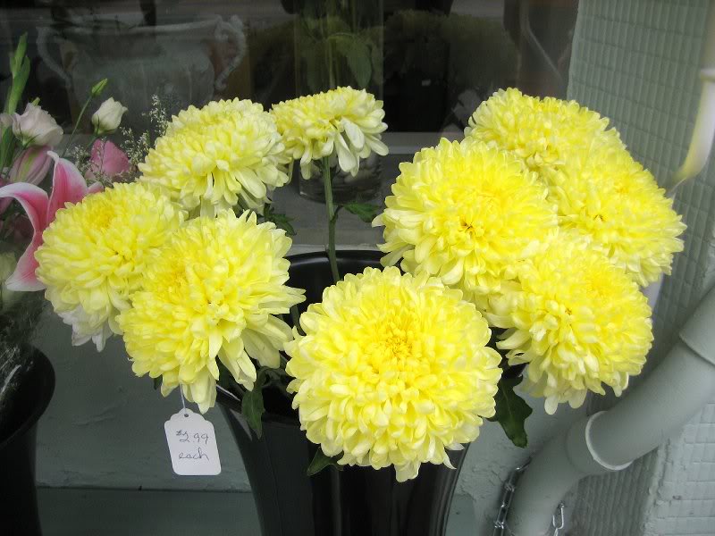 This flower shop has the freshest flowers