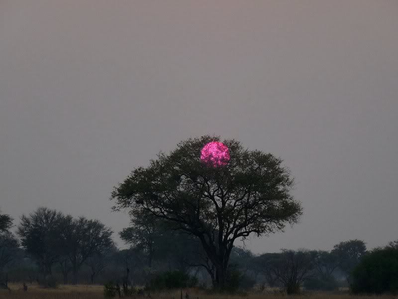 Out first African sunset