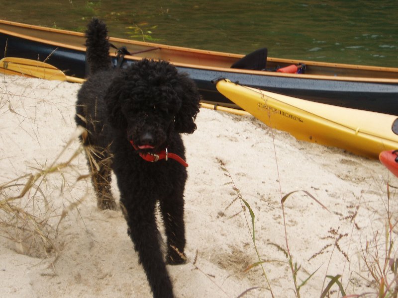 Mike on Jocassee,10-08 006