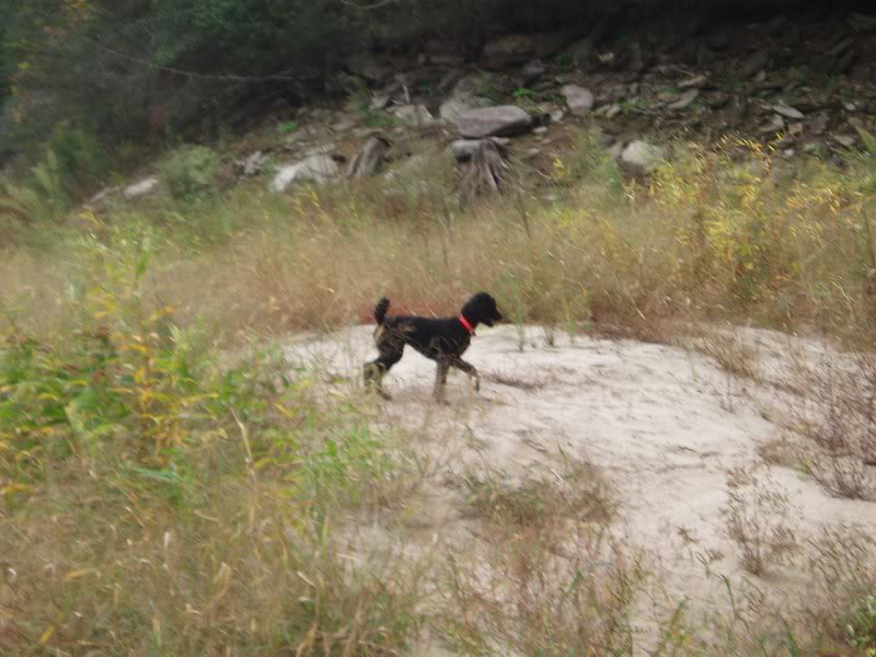 Mike on Jocassee,10-08 007