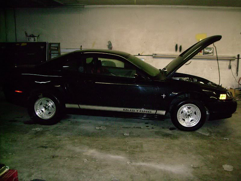 Shiner's New V6 Turbo