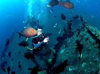 surrounded by fishes