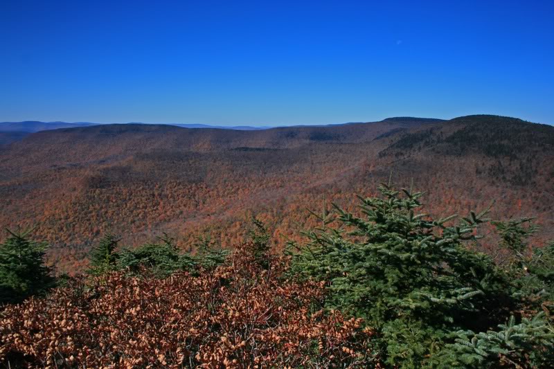 09-PLATEAU AND SUGARLOAF