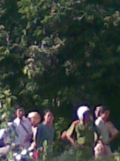 H��nh ���nh031