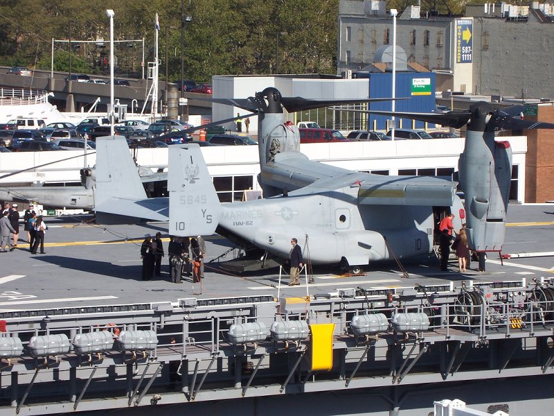 It's a bird-it's a plane-hey just what is it on the car...