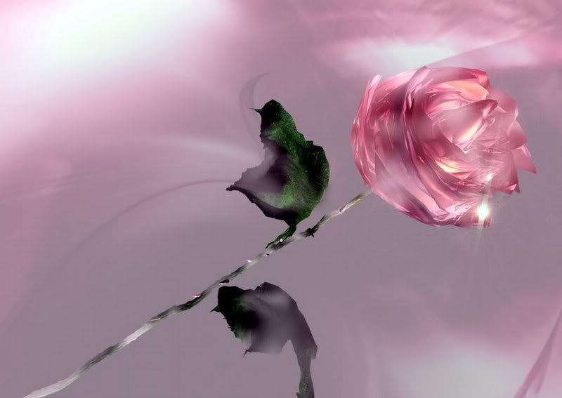 3D Pink Rose