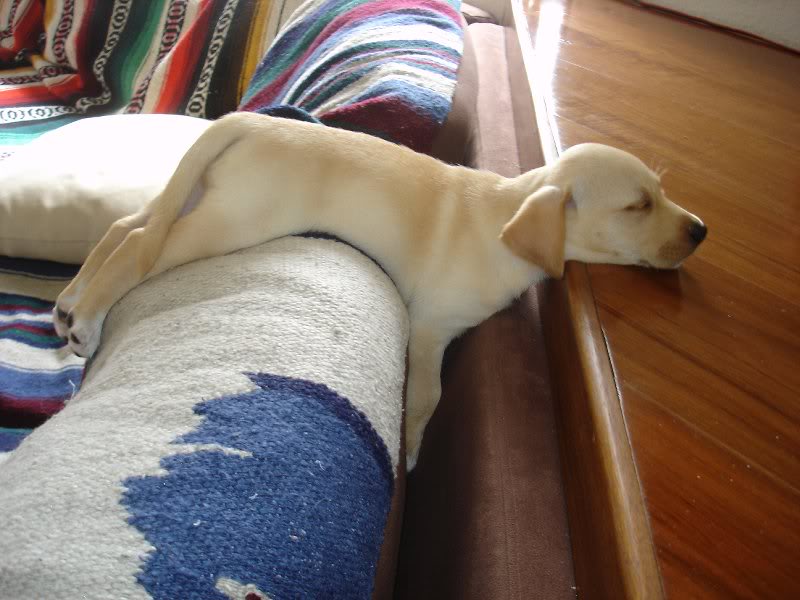 Baby's can sleep anywhere