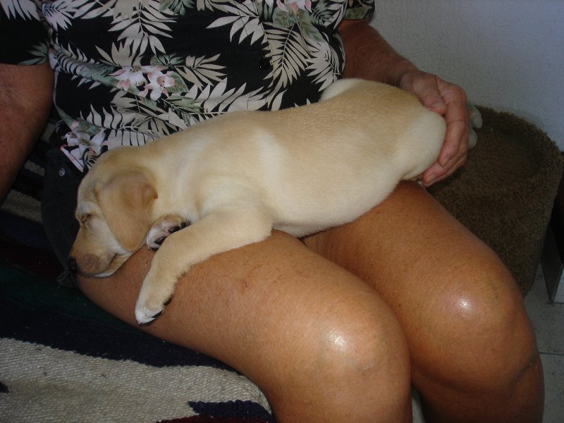 Catching some zzzzzzzzz's