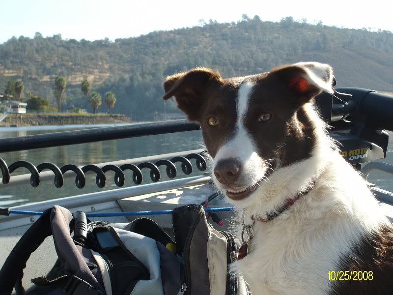 Glad to Be in the Boat Again