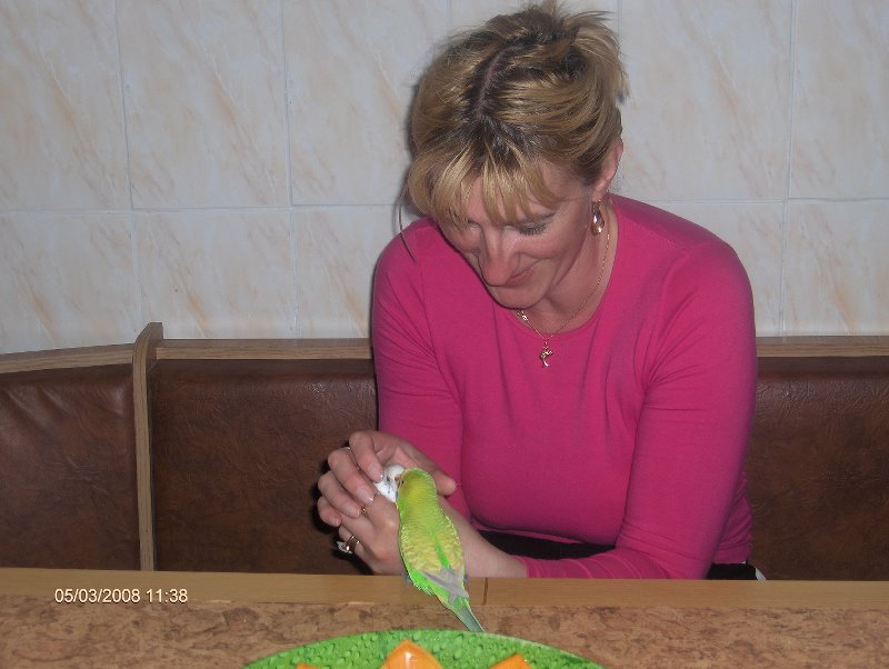 Coco, gelos ca Roco este in centrul atentiei