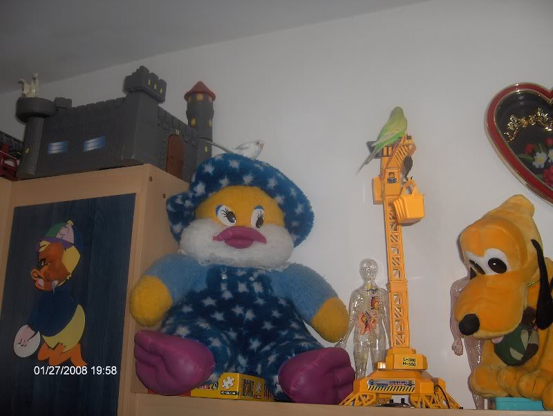 Coco "Macargiul" si Roco