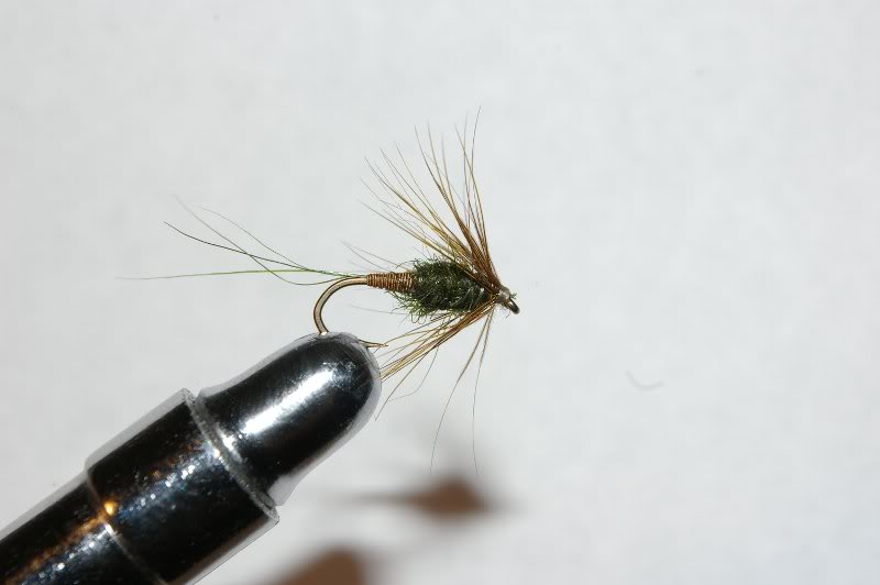 Troth brown mayfly nymph