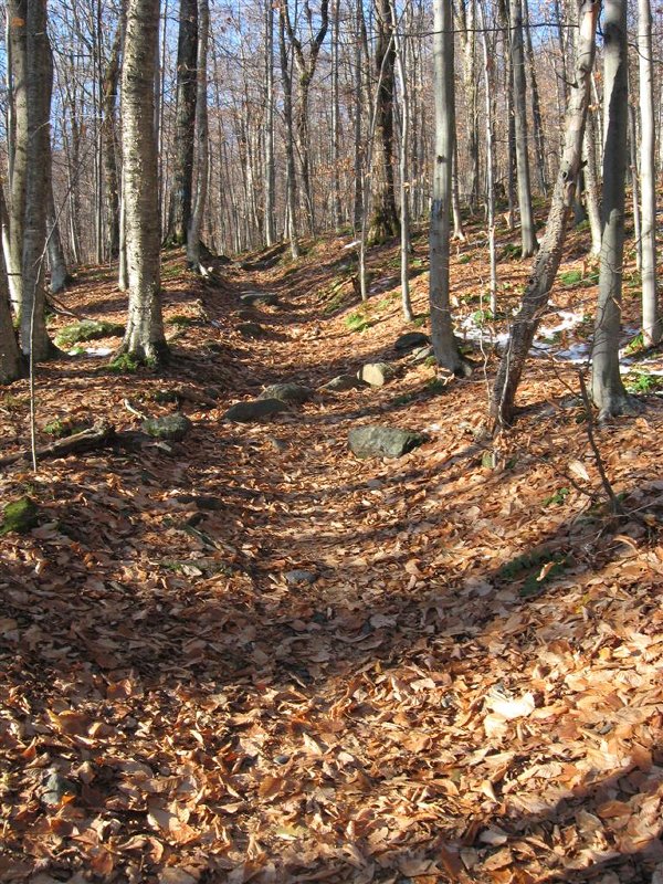 Trace of snow at 1500'